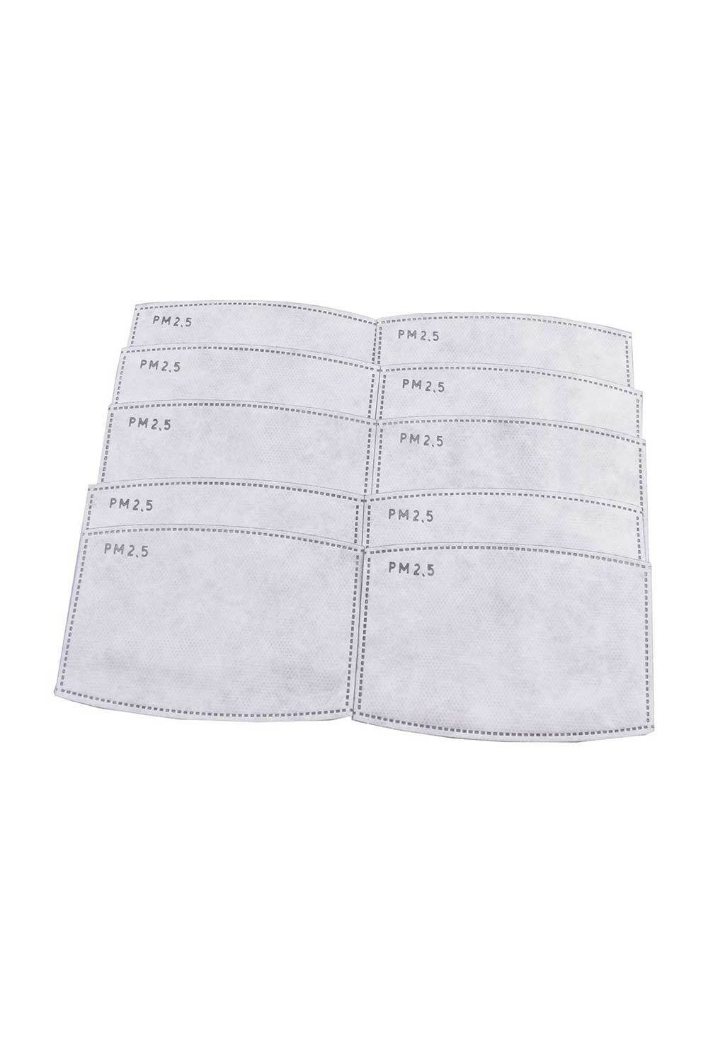 PM 2.5 Replacement Filters - 10 Pack